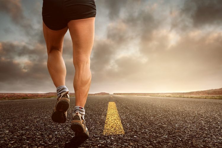 jogging, run, sport, jog, sporty, race, movement, sneakers, away, shoes, running shoes, jogging shoes, endurance, condition, leisure, training, health, fit, fitness, legs, marathon, cardio, man legs, landscape, road, athlete, muscles, runner, jogging, run, run, sport, sport, health, health, health, health, health, fitness, fitness, fitness